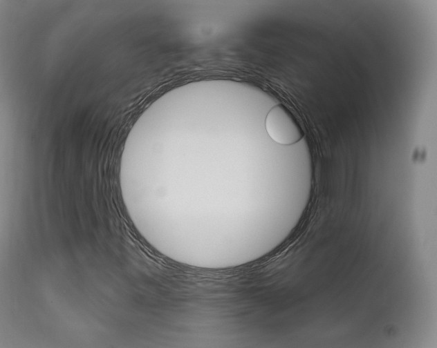 X0000111581443200907161144
