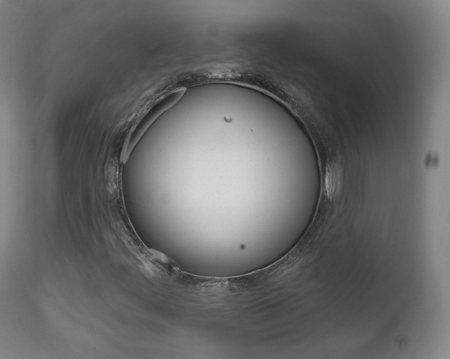 X0000111581444200907161144