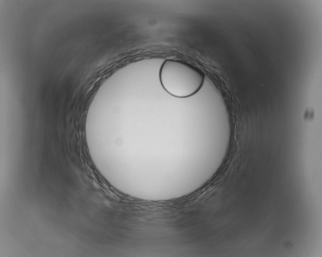 X0000111581445200907161144