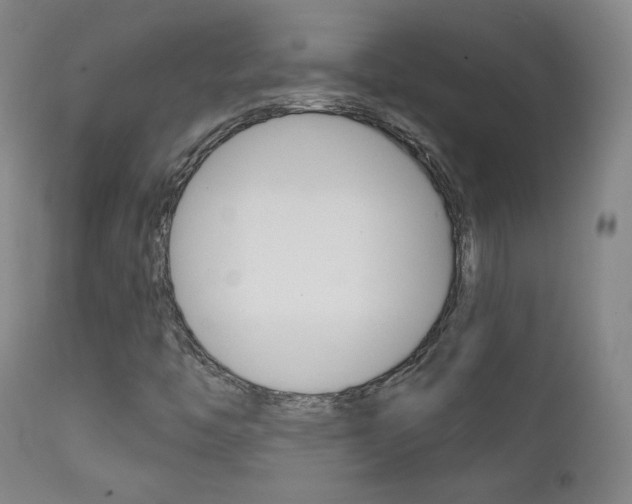X0000111581446200907161144