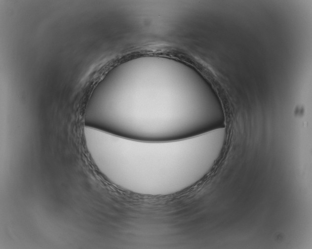 X0000111581447200907161144