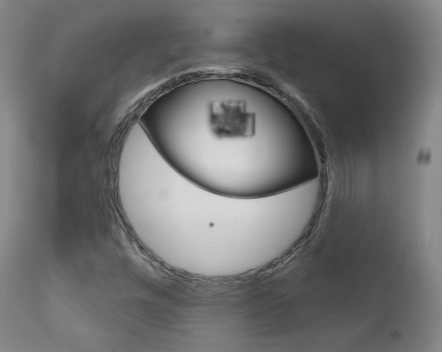 X0000111581448200907161144