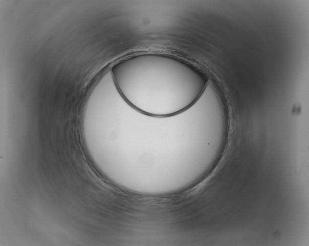X0000111581449200907161144
