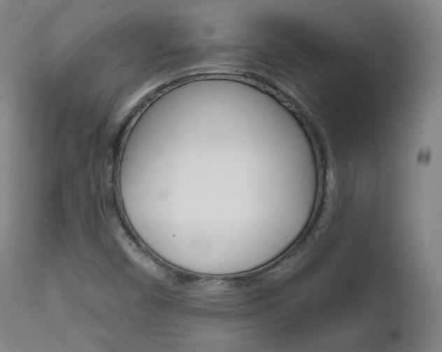 X0000111581450200907161144