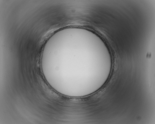 X0000111581451200907161144