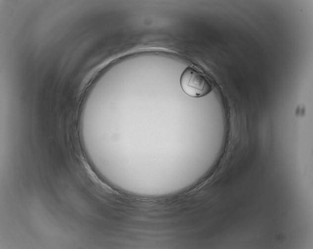 X0000111581452200907161144
