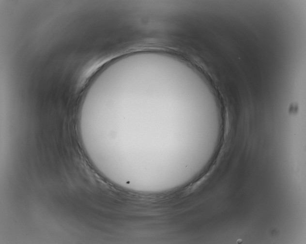 X0000111581453200907161144