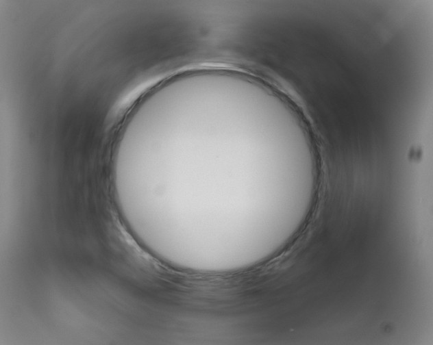 X0000111581456200907161144