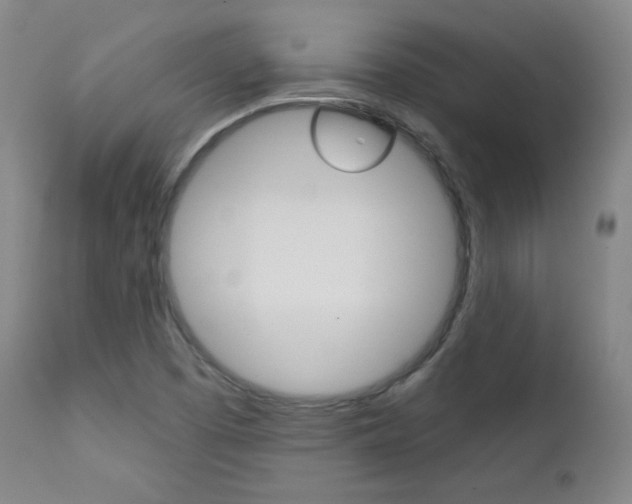 X0000111581457200907161144