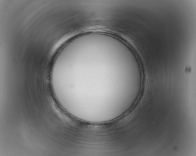 X0000111581458200907161143