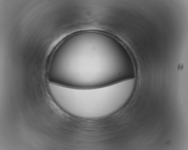 X0000111581460200907161143