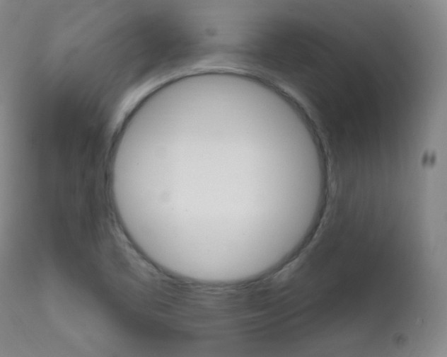 X0000111581461200907161143
