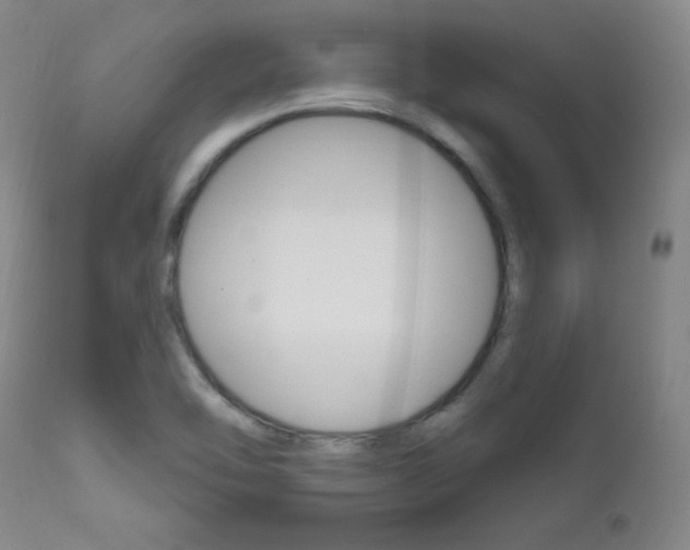 X0000111581462200907161143