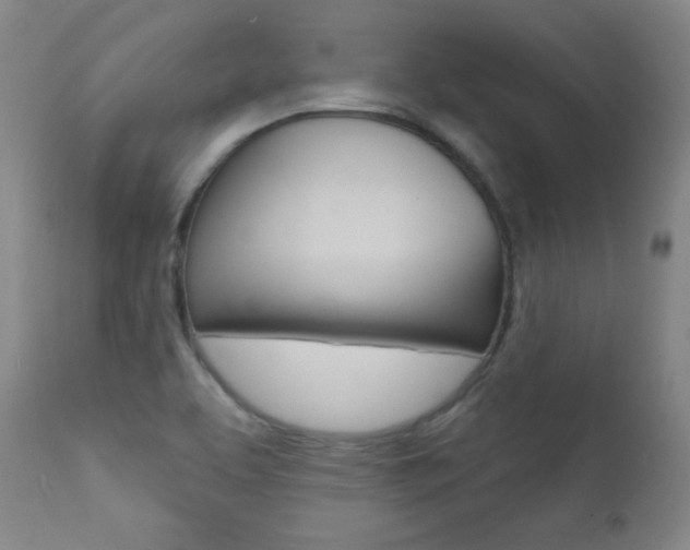 X0000111581463200907161143