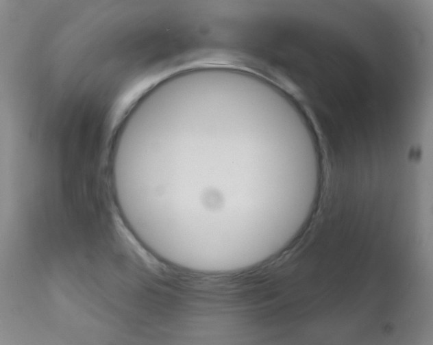 X0000111581464200907161143