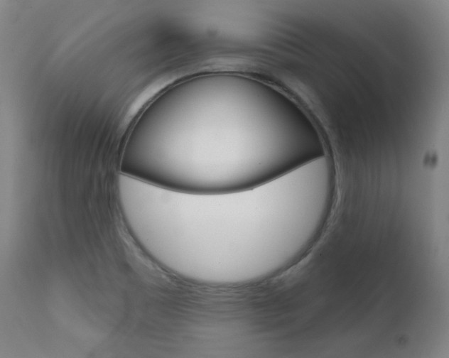 X0000111581465200907161143