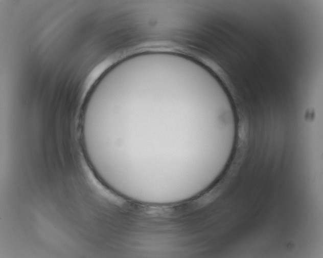 X0000111581466200907161143