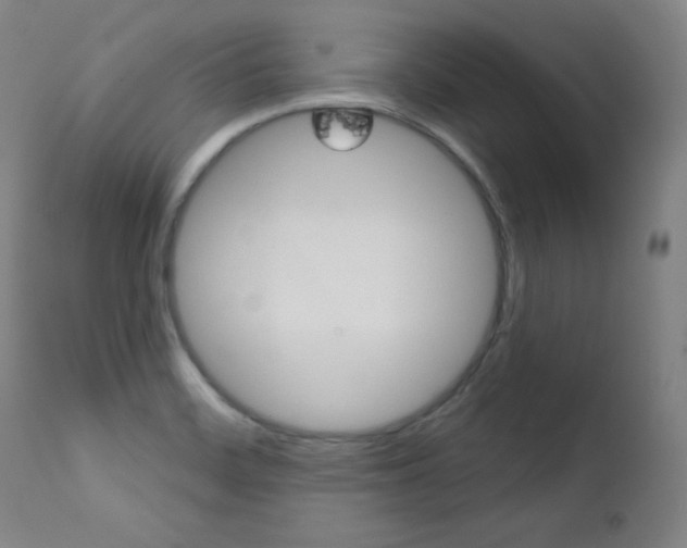 X0000111581468200907161143