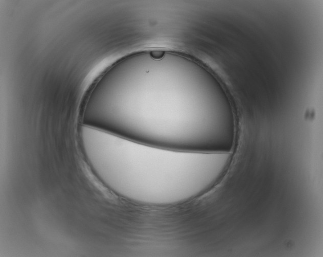 X0000111581469200907161143