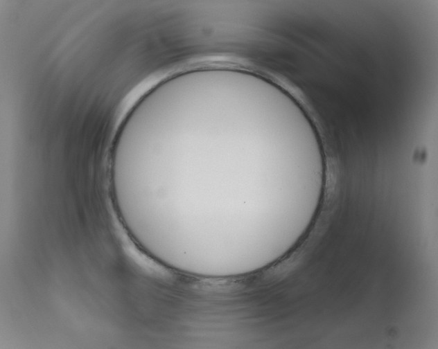 X0000111581474200907161143