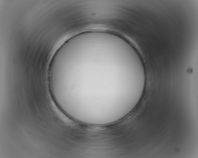 X0000111581475200907161143