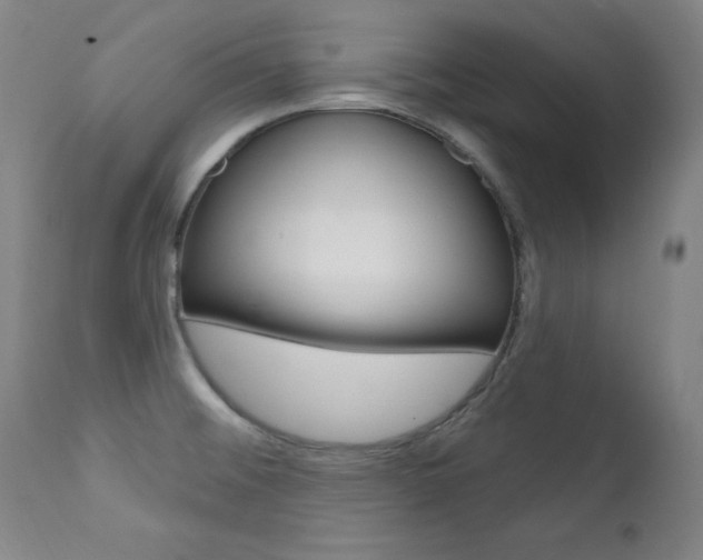 X0000111581476200907161143