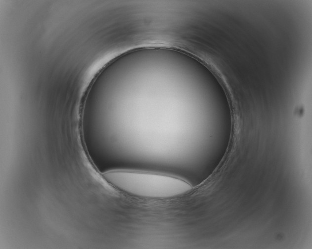 X0000111581480200907161143