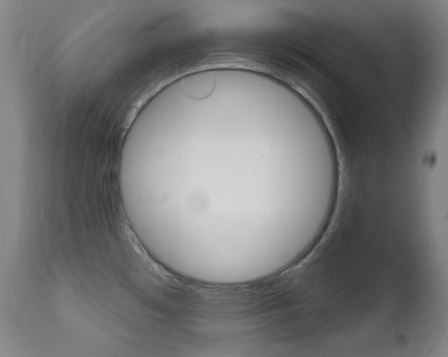 X0000111581481200907161143