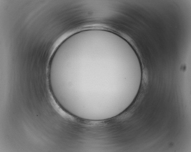 X0000111581482200907161143