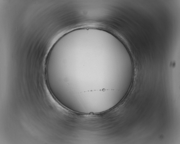 X0000111581483200907161143