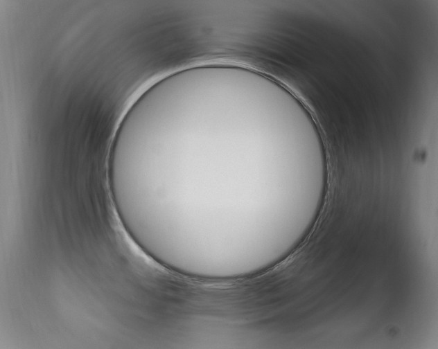 X0000111581484200907161143