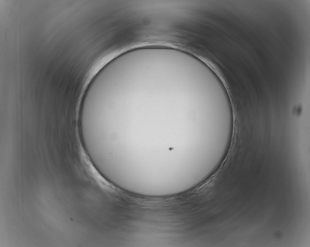X0000111581485200907161143