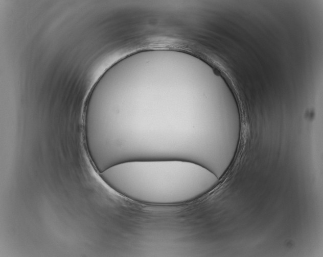 X0000111581487200907161143