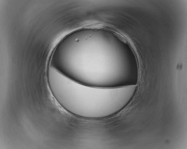 X0000111581488200907161143