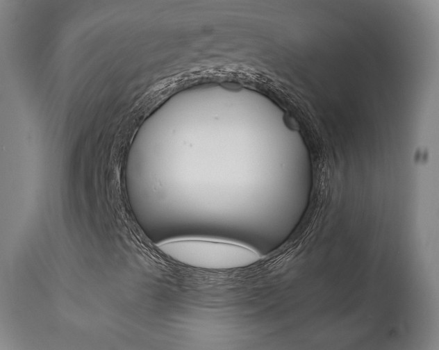 X0000111581489200907161142