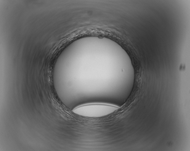 X0000111581490200907161142