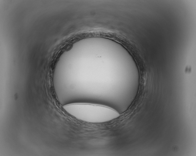 X0000111581493200907161142