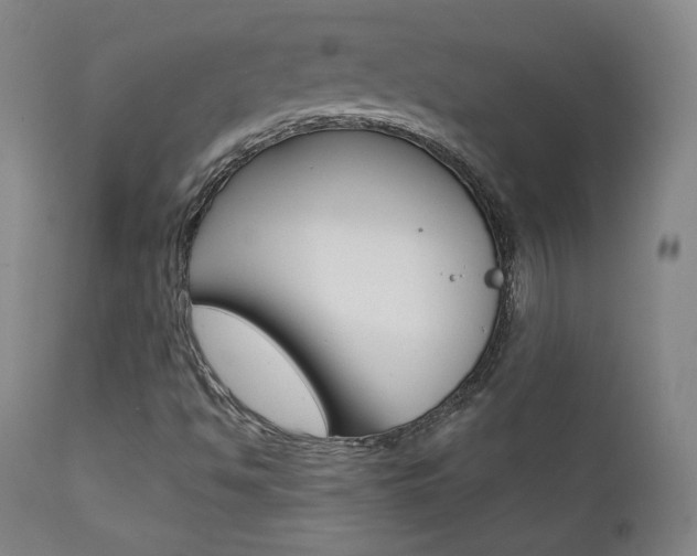 X0000111581494200907161142