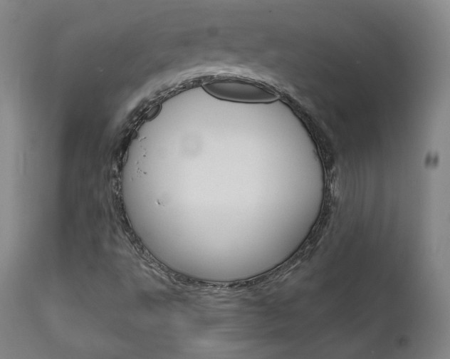 X0000111581495200907161142