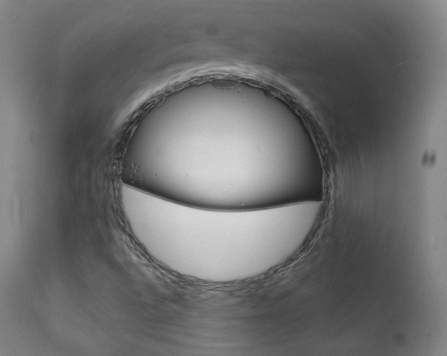 X0000111581496200907161142