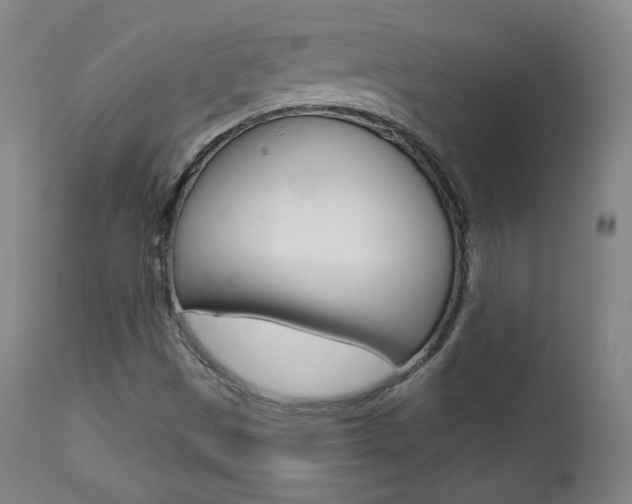 X0000111581497200907161142