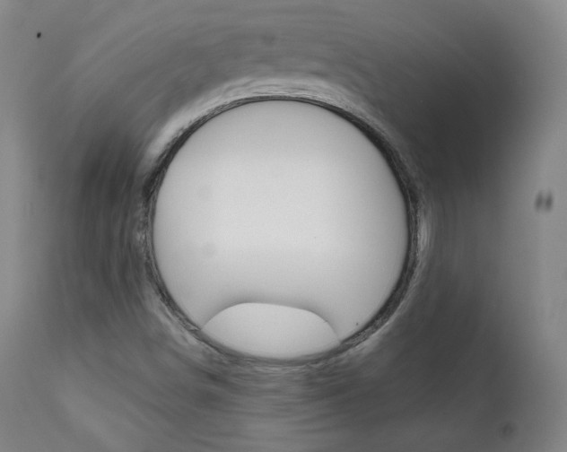 X0000111581498200907161142