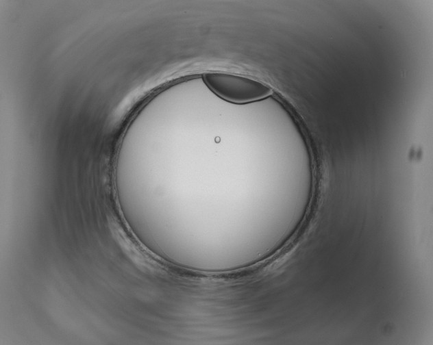 X0000111581499200907161142
