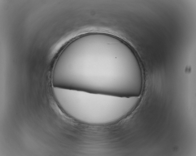 X0000111581503200907161142