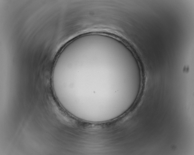 X0000111581505200907161142