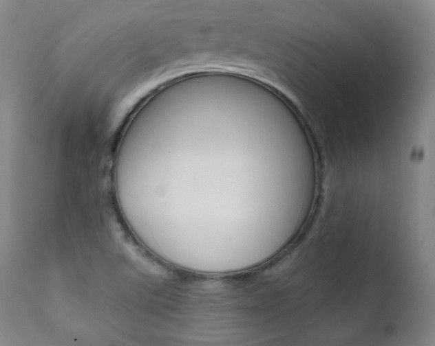 X0000111581507200907161142