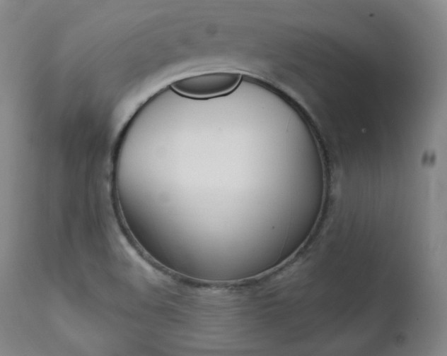 X0000111581508200907161142