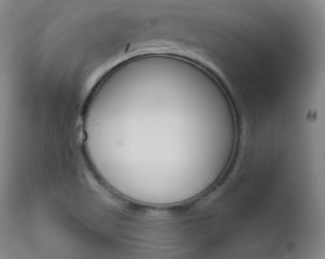 X0000111581509200907161142