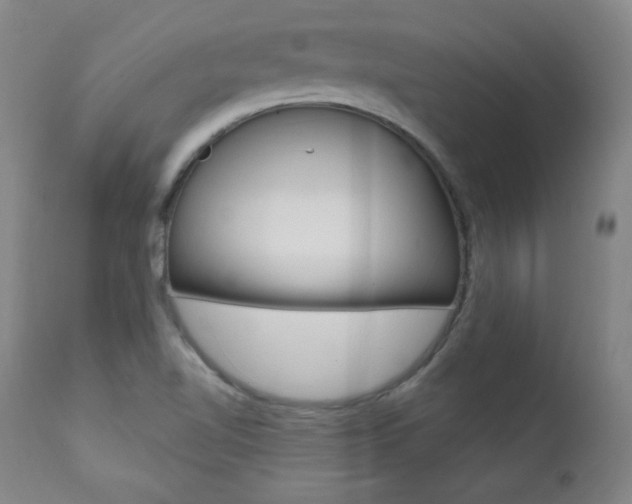 X0000111581510200907161143