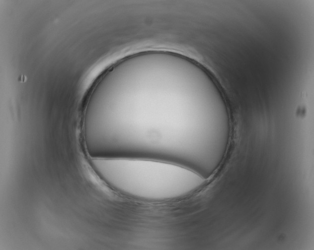X0000111581511200907161143